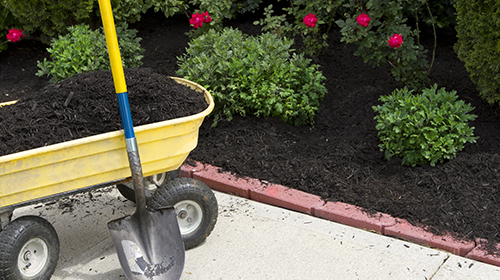 Mulch Installation